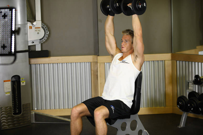 Arnold Dumbbell Press — demonstration image 2