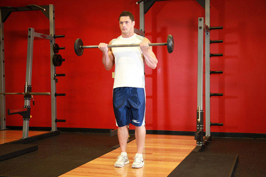 Barbell Curl — demonstration image 2