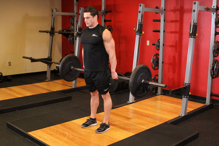 Barbell Hack Squat — demonstration image 2