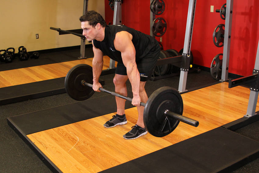 Barbell Rear Delt Row