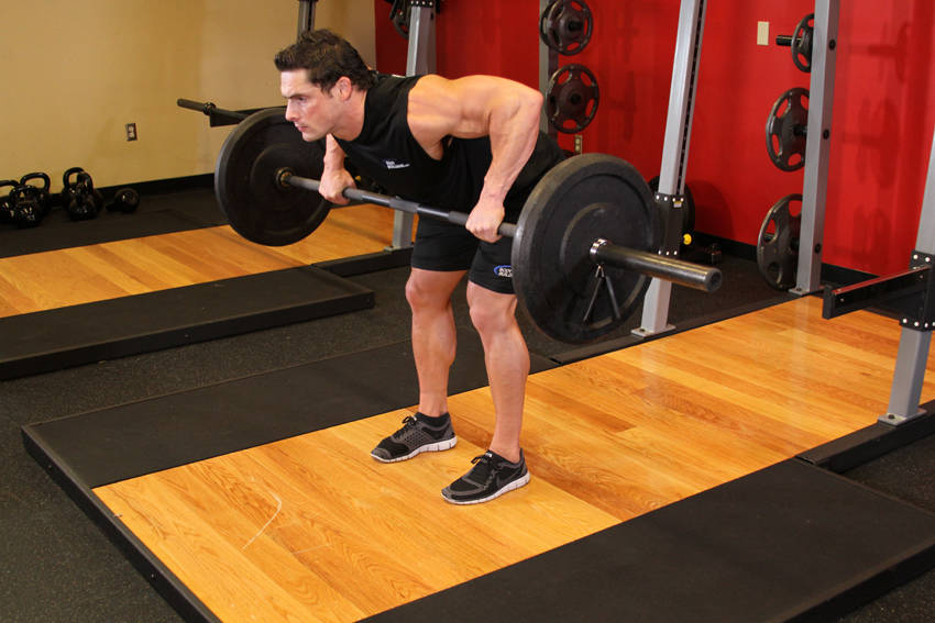 Barbell Rear Delt Row — demonstration image 2