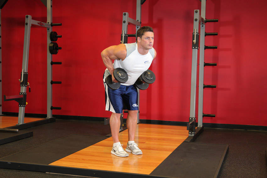 Bent Over Two-Dumbbell Row With Palms In — demonstration image 2
