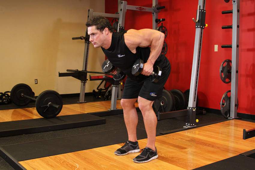 Bent Over Two-Dumbbell Row — demonstration image 2