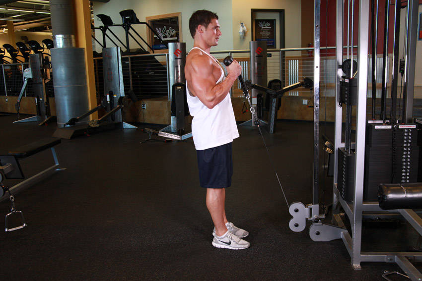 Cable Hammer Curls - Rope Attachment — demonstration image 2