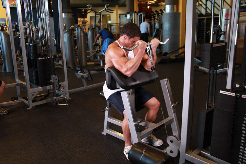 Cable Preacher Curl — demonstration image 2