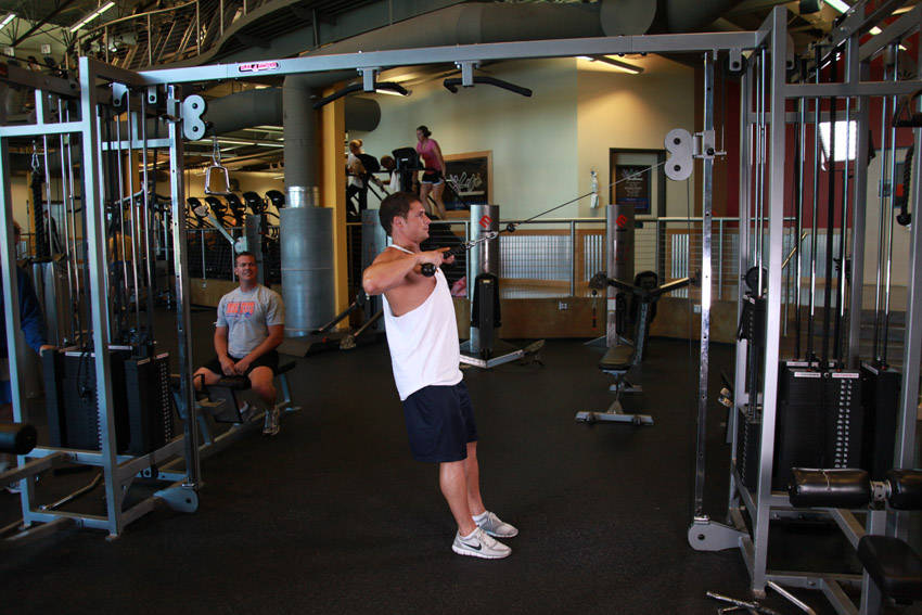 Cable Rope Rear-Delt Rows — demonstration image 2