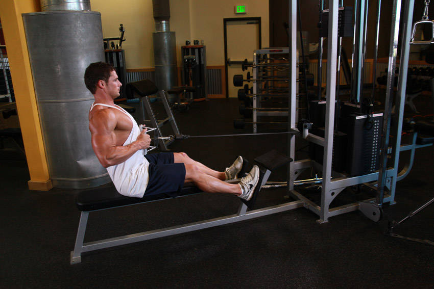 Band row — demonstration image 2