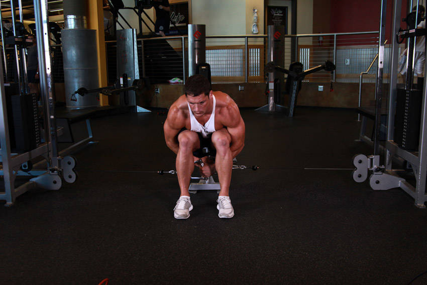 Cable lateral raise