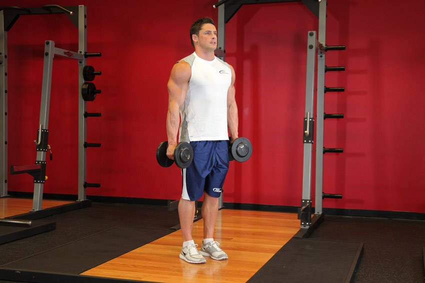Hammer curl