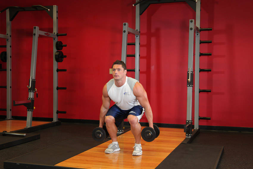 Heel-elevated dumbbell squat — demonstration image 2