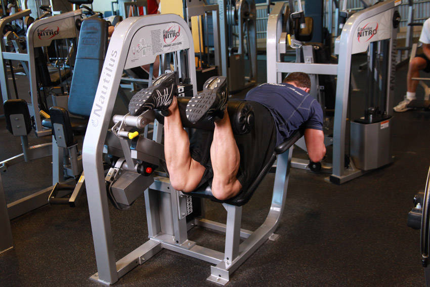 Lying leg curl — demonstration image 2