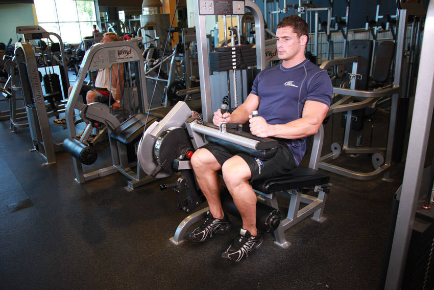 Seated leg curl — demonstration image 2
