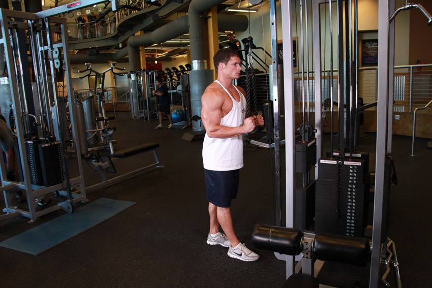 Triceps pushdown