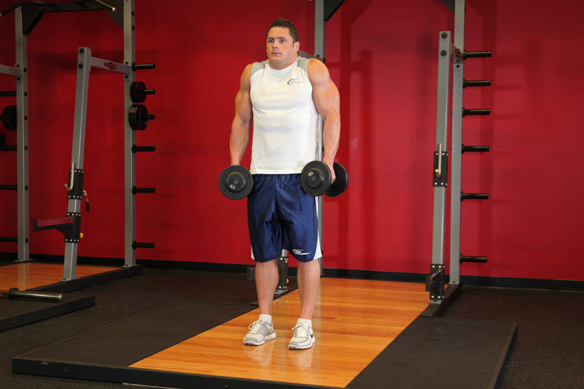 Dumbbell Shrug — demonstration image 2