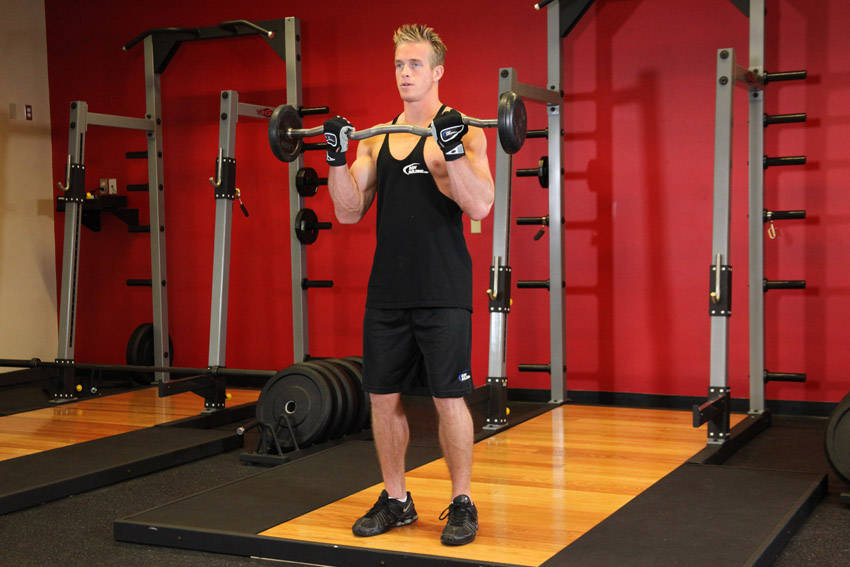EZ-Bar Curl — demonstration image 2