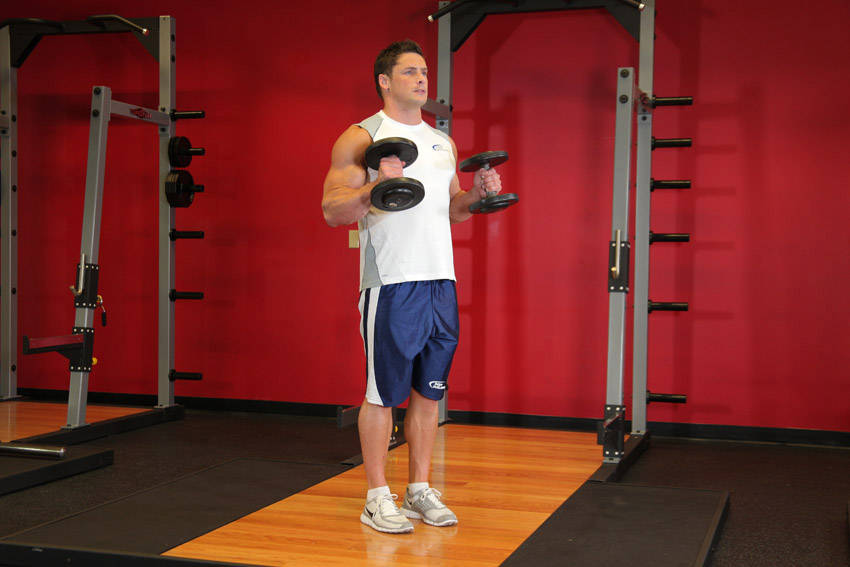 Hammer Curls — demonstration image 2