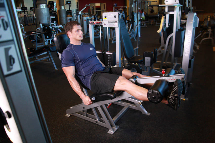 Leg Extensions — demonstration image 2