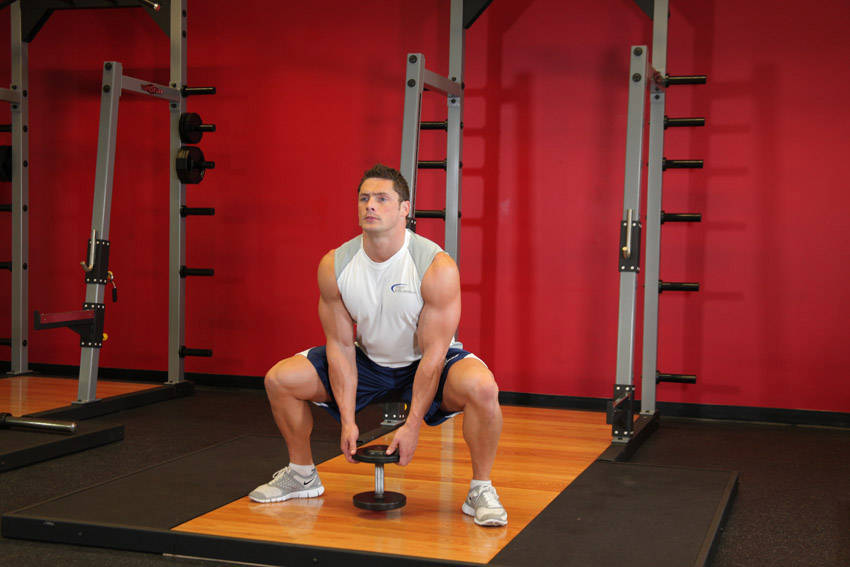 Plie Dumbbell Squat — demonstration image 2