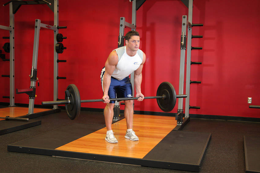 Reverse Grip Bent-Over Rows — demonstration image 2