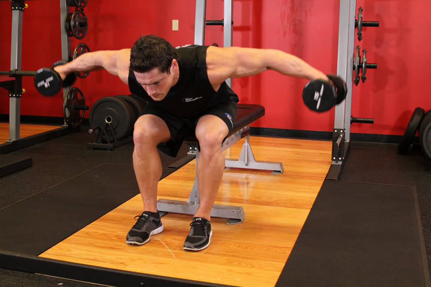 Seated Bent-Over Rear Delt Raise — demonstration image 2