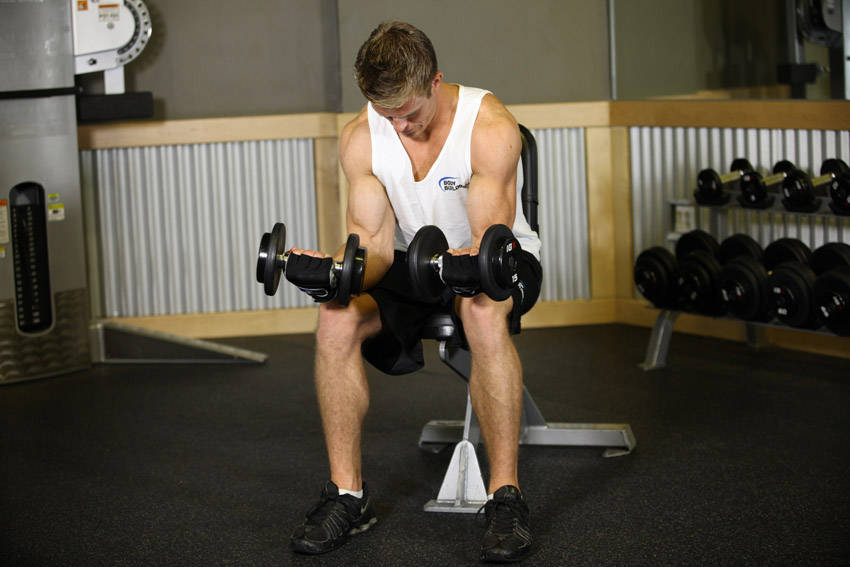 Seated Dumbbell Palms-Up Wrist Curl — demonstration image 2