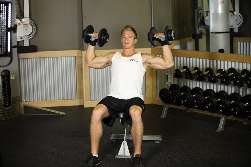 Seated Dumbbell Press — demonstration image 2