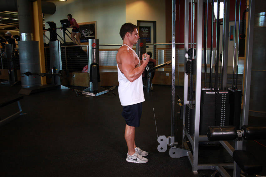 Standing Biceps Cable Curl — demonstration image 2