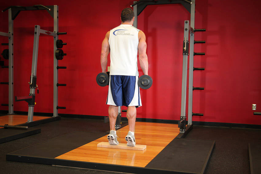Standing Dumbbell Calf Raise — demonstration image 2