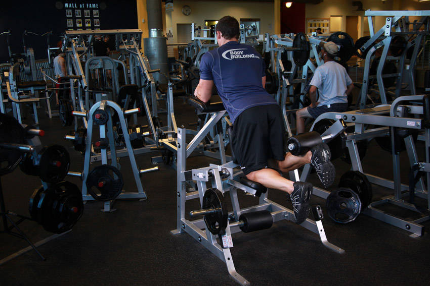Standing Leg Curl — demonstration image 2