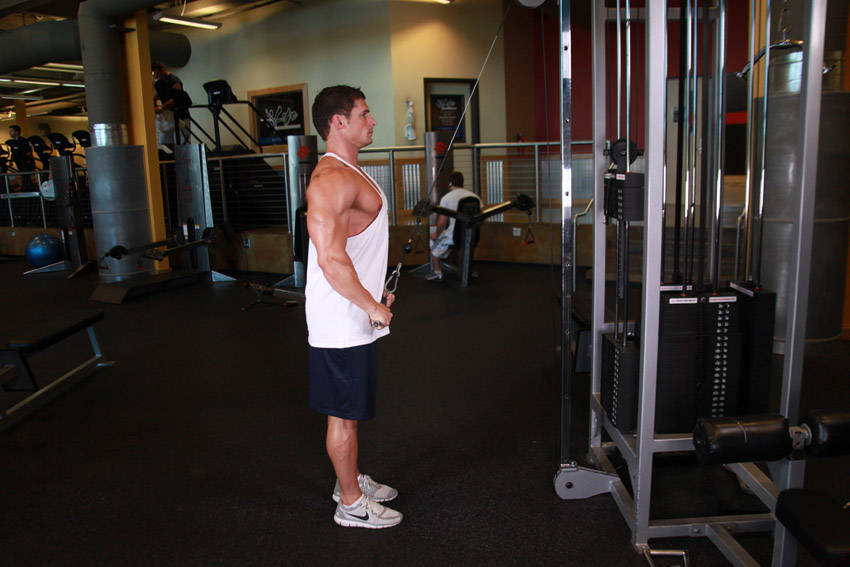 Straight-Arm Pulldown — demonstration image 2