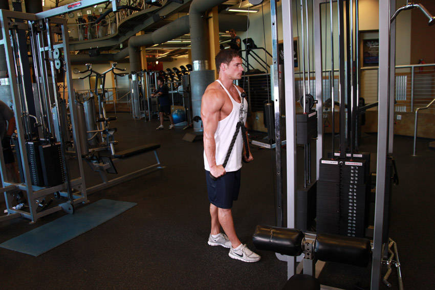 Triceps Pushdown - Rope Attachment — demonstration image 2