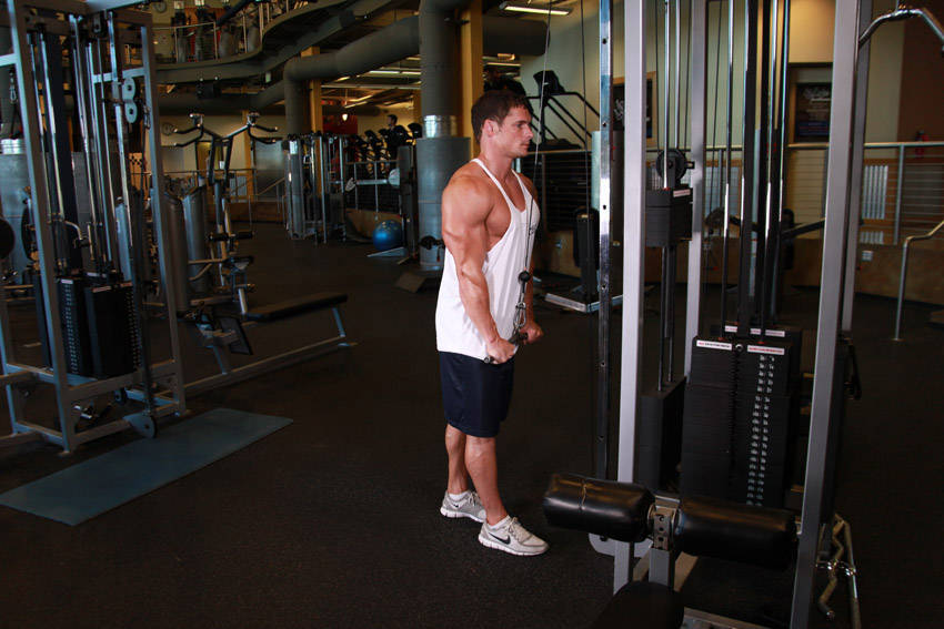 Triceps Pushdown — demonstration image 2